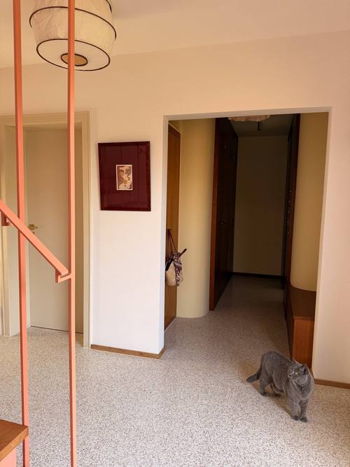 60ern Wohnhaus Terrazzo